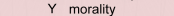 Y
